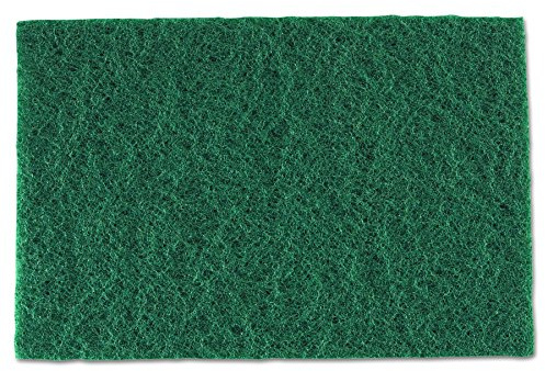 Royal S960 Medium-Duty Scouring Pad, 6 x 9, Green (Case of 60)