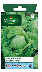 Sachet graines Laitue Batavia Blonde de PAris