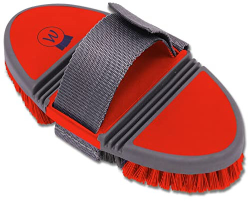 Basic Flexi Kardätsche