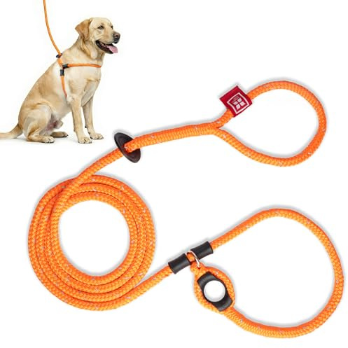 Harness Lead No Pull Dog Harness and Leash Set, Anti Pull Dog Harness for All Breeds and Sizes, One-Piece Cushioned Rope Design Safely Prevents Escaping and Pulling (Medium/Large, Orange/Reflective)
