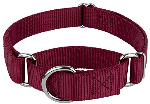 Country Brook Petz - Martingale Dog Collar - Heavy-Duty Training Collar with No Buckle - Service Dog Collar for All Pups - 10+ Warm Colors (Burgundy, 1 Inch, Medium)