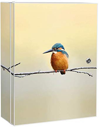 banjado Medizinschrank abschliessbar mit Motiv Pause 35x46x15cm - großer Arzneischrank für die Hausapotheke - Medikamentenschrank aus Metall zur Medikamenten Aufbewahrung