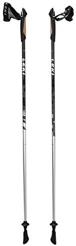 Sport 2000 SPIRIT CARBON Nordic Walking-Stock - 105