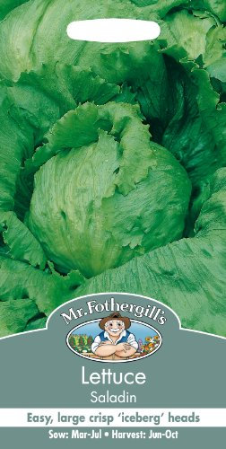 Mr Fothergill's 10027 Vegetable Seeds, Lettuce Saladin