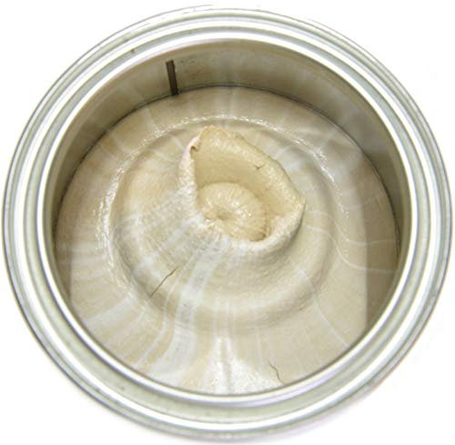 2K Holzkitt für den Innen und Außenbereich (05 - Kiefer)