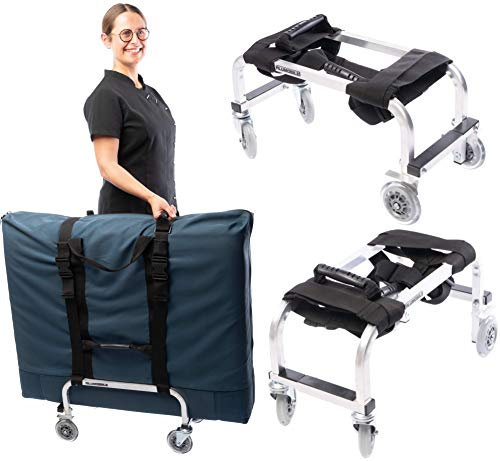 Alumobile® Massage Table Trolley for Professionals - Aluminium Frame - Light, Durable, Solid, Highly Mobile - 3 Year Warranty (Air-Pro, Silver)