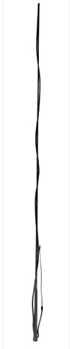 Dublin Lunge Whip, Black, 64