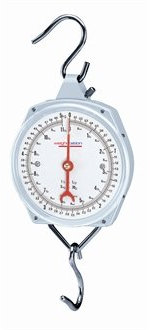 Weighstation F179 Hängende Küchenwaage aus Edelstahl, 25 kg