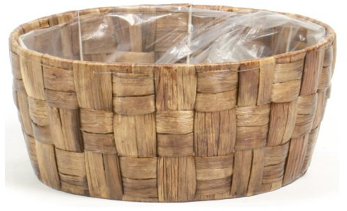 Hyacinth Round Parrot L Tea