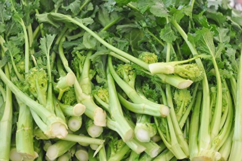 Spargelbrokkoli' Cima di Rapa 'Broccoletti - 50 Seme