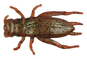 Berkley Gulp! Cricket Breen, 1-Inch