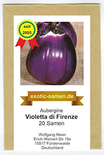 RWS Aubergine - aubergines - Violetta di Firenze - 20 graines