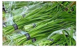 Asian Culinar Garlic Chives/Kau Tsai/Chinese Leeks / 100 Seeds