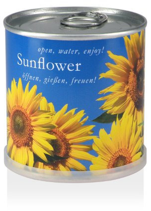 MacFlowers | Piccolo set per la coltivazione con girasoli | Design blu giallo | Set regalo con una varietà di semi in graziosa scatola per fiori istantanea