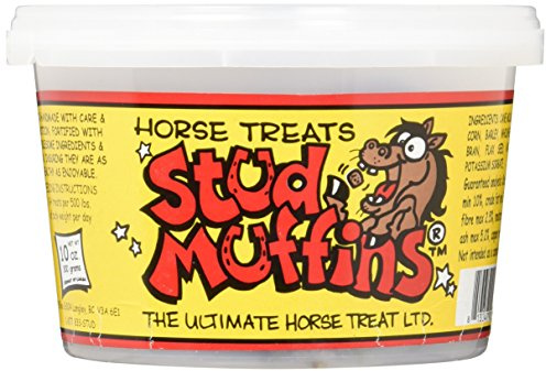 Stud Muffins 1010/1008 Horse Treat, 283,5 Gram