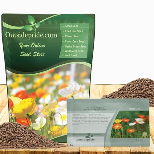 Outsidepride Iceland Poppy Seeds for Planting Outdoors - 5000 Pcs. Annual, Drought-Tolerant & Easy to Grow Wildflower Seeds with Vibrant Purple Blooms for Landscaping, & Pollinator Garden