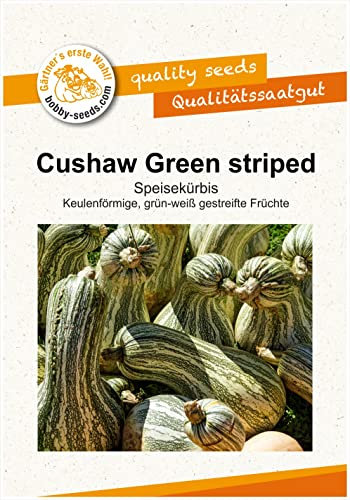 Bobby-Seeds Kürbissamen Cushaw Green striped Portion