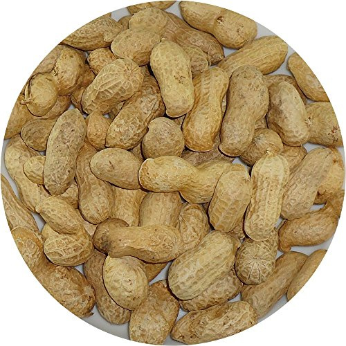 MONKEY NUTS - NUTS IN SHELLS - PARROTS - SQUIRRELS - BADGERS - 2.5 KG