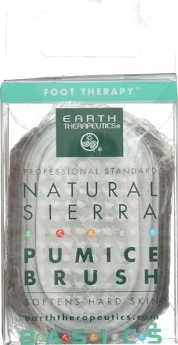 Earth Therapeutics Pumice Stone with Brush, 1 EA