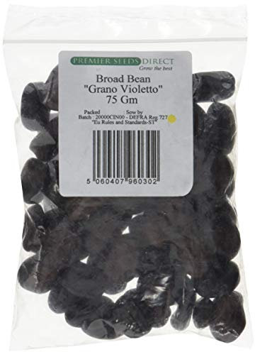 PREMIER SEEDS DIRECT - BROAD BEAN - GRANO VIOLETTO - 75GM - APPROX 50-65 SEEDS - WINTER HARDY