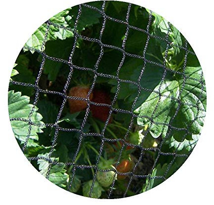 Heavy Duty Bird Netting, Soft Flexible Mesh Netting for Garden Fruit Crop Cage Protection (8m wide per metre)