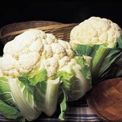 KINGS SEEDS: CAULIFLOWER AUTUMN GIANT