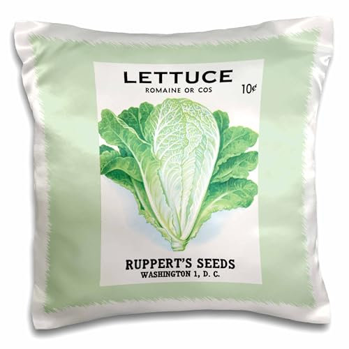 3dRose LLC. Lettuce Romaine Or Cos Rupperts Seeds Washington Dc-Pillow Case, (pc_170182_1), Satin, White, Square_16_inches
