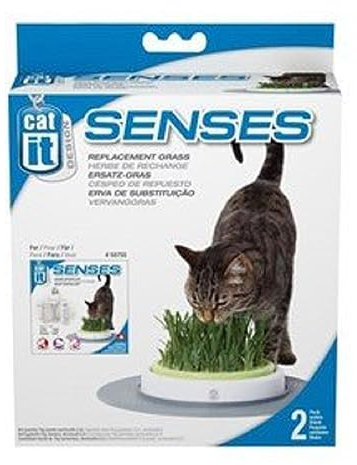 Catit Design Senses Gras Garten, Katzengras Nachfüllbeutel, 2er Pack