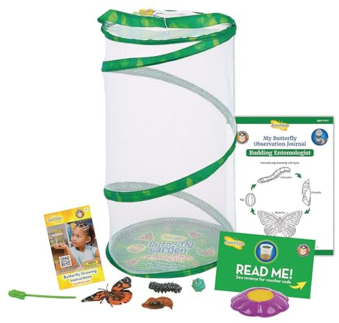 Insect Lore Giant Butterfly Garden Kit (Packaging May Vary)