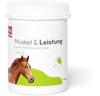 PHA Muscolo & Prestazioni per Cavalli – Minerali e Vitamine per la Costruzione Muscolare e Le Prestazioni, con vitamina E, magnesio e Selenio, Polvere 850 g