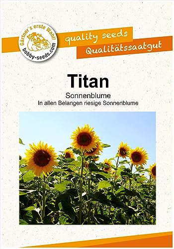 Blumensamen Titan Riesensonnenblume Portion