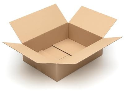 10 cartons 650 x 500 x 200 mm pour expédition DPD et DHL C-ondulation