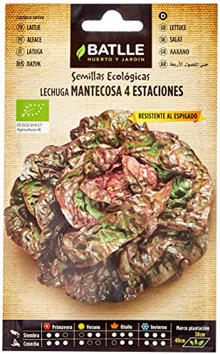 Graines Bio de Batlle - Laitue des quatre saisons (2g), vert