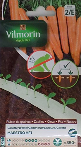 Vilmorin 2 Cintas 350 Semillas de Zanahoria Maestro HF1 (Cultivo fácil)