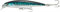 Rapala Señuelo X-Rap Saltwater-Material de Pesca para Grandes Peces Carnívoros, Unisex-Adult, 120 mm (22 gr)