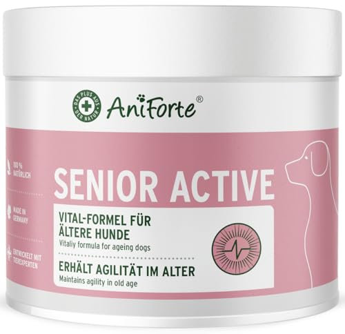 AniForte Senior Active Powder 250 g per Cani Anziani - minerali, aminoacidi e vitamine per Cani, Supporta la Memoria e la Funzione cardiaca, cozza dalle Labbra Verdi per la vitalità e l'agilità