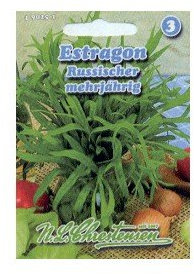 Estragon Russischer mehrjährig