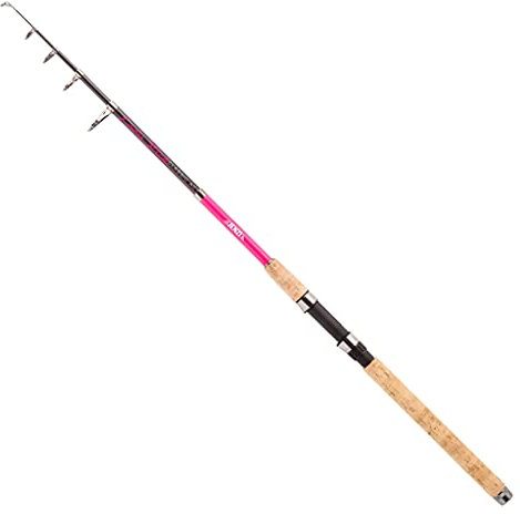 Jenzi Tele Lady-Stick (20-50) 2,70m