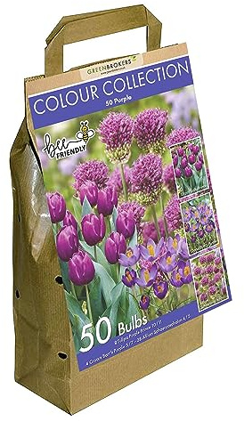 50 Purple Spring Flower Bulbs | Colour Collection | Bee-Friendly | Premium Dutch Bulbs | Tulipa, Crocus & Allium | Eco-Friendly Packaging | Easy Planting Instructions Included