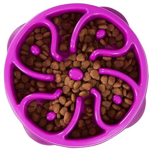 Outward Hound Fun Feeder Slo Bowl – Medium 2‑Cup Capacity, Slow Feeding, Small to Medium Dogs & Cats, Non-Slip, Purple, Flower Pattern