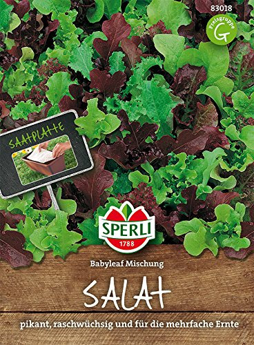 Mini-Salatmischung, 'Baby Leaf'