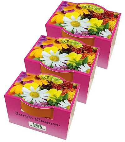 Bull & Bear 3er Set Minipflanzset Bunte Blumen, Blumensamen im Topf 40mm, Mini Blumen als Anzuchtset mit Pflegeanleitung