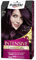 Schwarzkopf Palette Intensive Creme Color - Tono 4.99 cabello Violín - Coloración Permanente de Cuidado con Aceite de Marula – Óptima cobertura de canas – Color duradero hasta 8 semanas