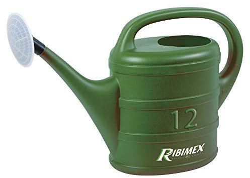 Ribiland 00588 Arrosoir Plastique Vert 12 L