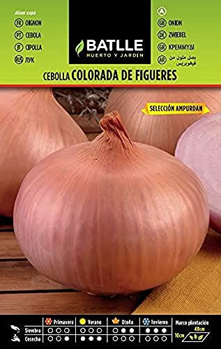 Semillas Batlle Cebolla Col.FIGUERES-AMPURDAN