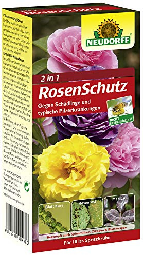 2 in1 Rosenschutz gegen Pilze und Schadinsekten