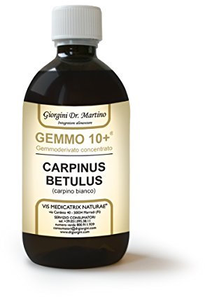 Dr Giorgini Integratore Alimentare, Carpino Gemmoderivato Concentrato Liquido Analcoolico - 500 ml