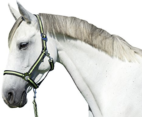Kerbl Unisex's Hippo Head Collar-Anthracite/Lemon, Size 00
