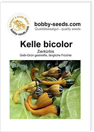 Kelle Bicolor Zierkürbis von Bobby-Seeds, Portion