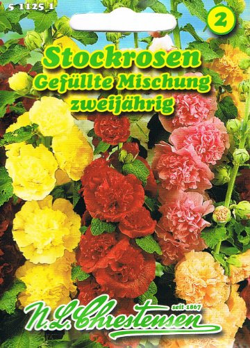Alcea rosea , Stockrosen, Gefüllte Mischung, Malve